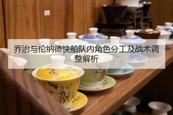 乔治与伦纳德快船队内角色分工及战术调整解析 | feifansports